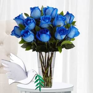 Meet your Posher, Yolanda